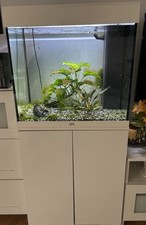Juwel Aquarium 120 Liter: Komplettset mit Pflanzen, Filter, Heizer & Beleuchtung