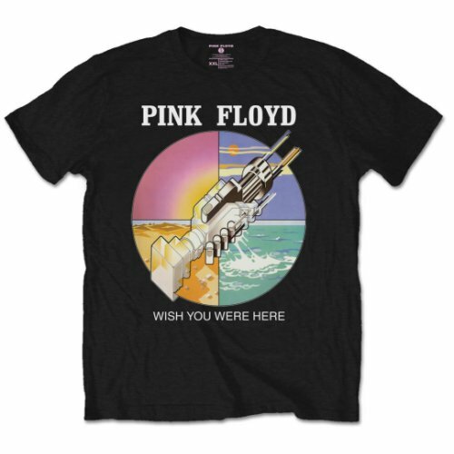 Pink floyd wish you were - you, here