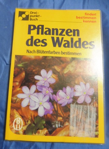 Pflanzen des waldes - des,
