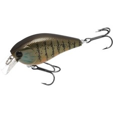 LUCKY CRAFT LC 1.5 - 427 Gold