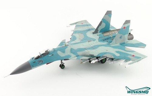 Hobby master russian air force - master,