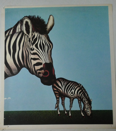 Dieter asmus zebras kunstdruck - asmus,