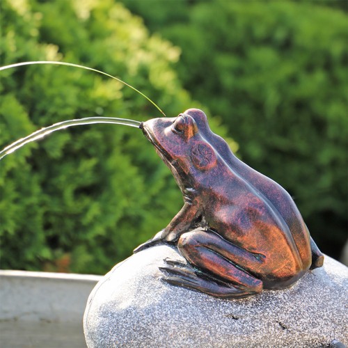 Wasserspeier frosch auf stein - frosch,