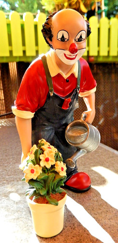 Gilde clowns fridolin - fridolin,