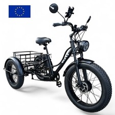 20/24 zoll elektrische dreirad 750W 48V 15Ah fett reifen rad e-dreirad fracht