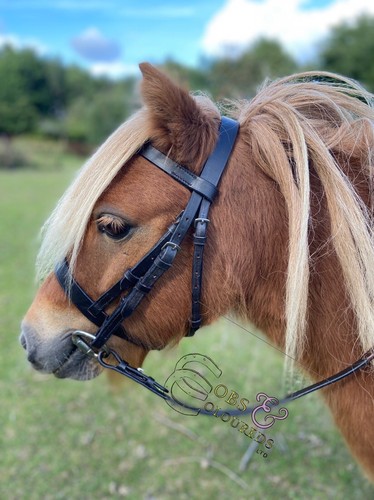 Mini shetland hunter - mini, trense
