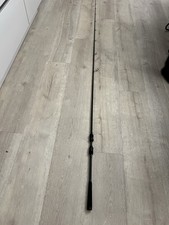 Jackson Zander X Treme Spinnrute Zanderjigge Zanderrute Angeln Hechtrute