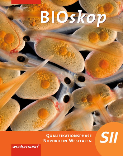 Bioskop sekundarstufe - bioskop,