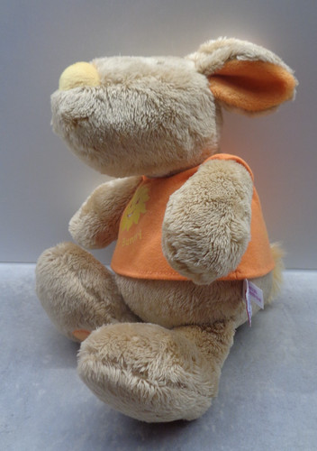 Nici hase sunny - bunny, –
