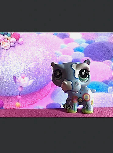 Petshop lps hasbro nilpferd - lps,