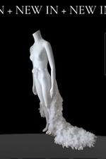 Bodenlanger Feder Trubel