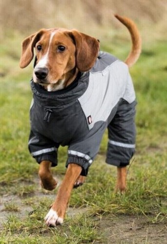 Hundemantel overall 4 - ⭐,