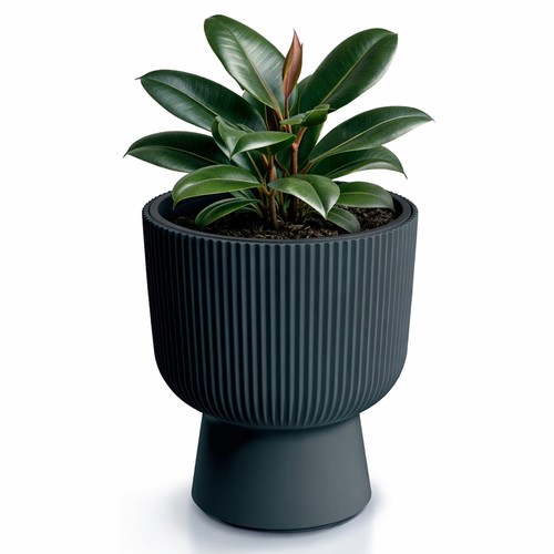 Prosperplast blumentopf - prosperplast,