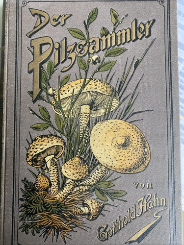 Der pilzsammler gotthold - der,