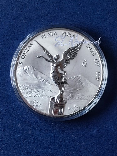 Libertad 2020 reverse - libertad,