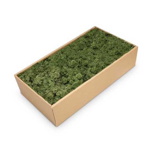 Nadeco islandmoos farben - nadeco,