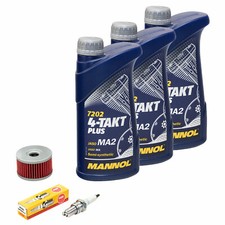 Öl 3L Inspektionspaket für