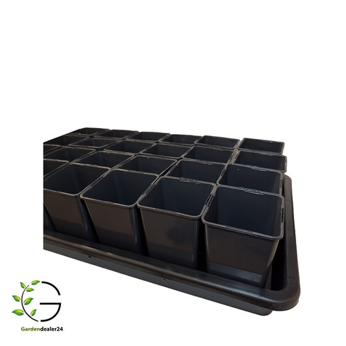 Pflanzen anzucht set aus - pflanzen,