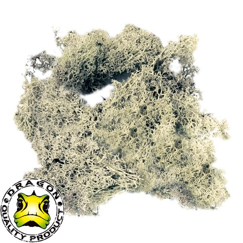 Dragon island moos natur - 60, g,