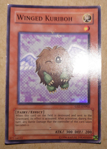 Yugioh geflügelter - yugioh,