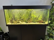 Juwel Rio 240 Aquarium mit