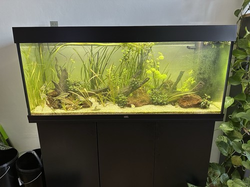 Juwel rio 240 aquarium - 240, mit