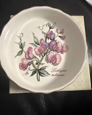 Quicheform mini Lathyrus