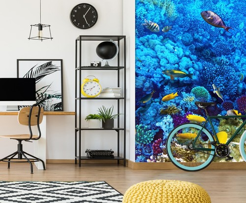 Blau koralle fisch q3630 - blau,