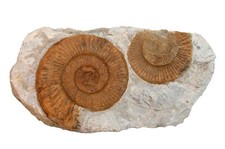 Malm  Schaustufe mit