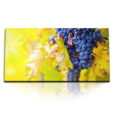 120x80cm Kunstdruck Bilder
