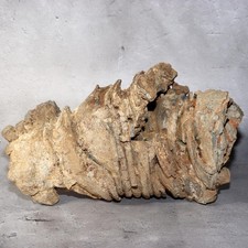 Japanischer antiker Tokoname