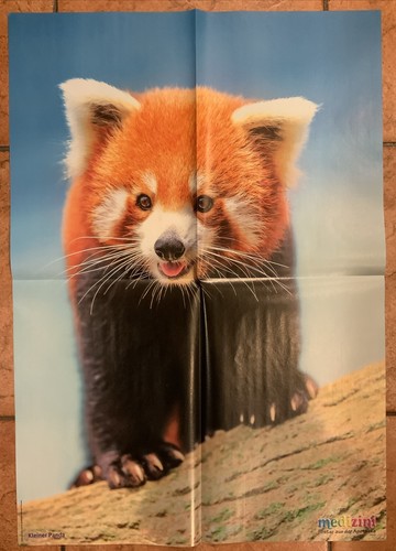 Poster von medizini - von, kleiner