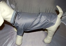 9698  Angeldog Hundekleidung