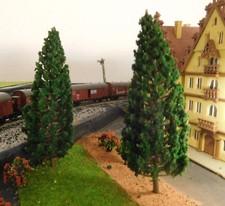 10 dunkelgrüne Tannen