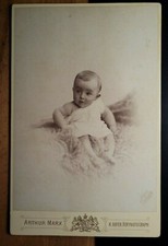 auf einem Fell sitzendes