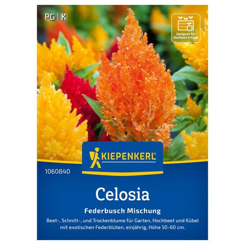 Kiepenkerl saatgut celosia - saatgut,