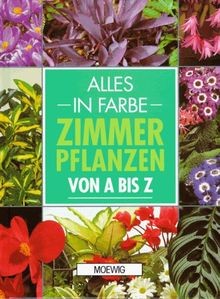 Zimmerpflanzen von z - zimmerpflanzen,