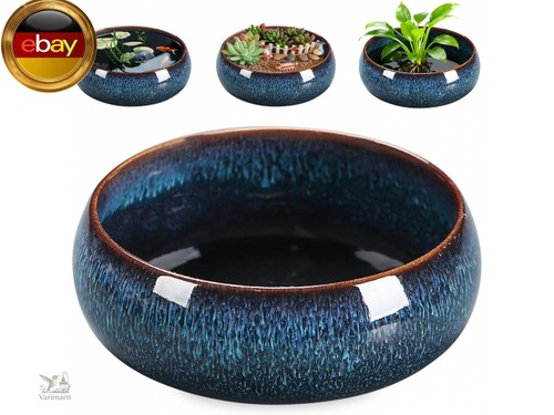 Lotus bonsai schale - bonsai, schale,