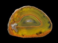 Achat - Atuel, Argentinien