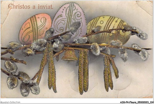 Ajgp4 0367 blume christus - blume,