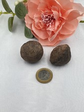 Moqui Marbles - 3 cm - lebende