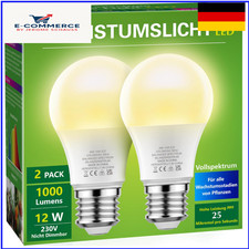 Briignite Die Glühbirne