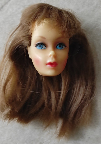Vintage kopf tnt barbie - tnt,