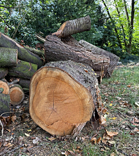 Brennholz