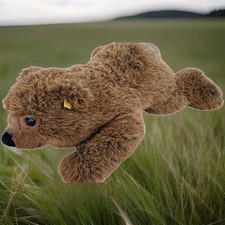 Steif Urs Braunbär Liegend 