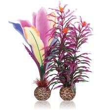 Oase biOrb Papageienfeder M