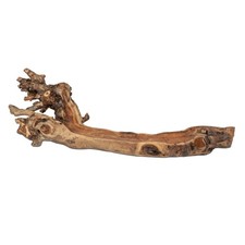 Dekoobjekt, Schale aus