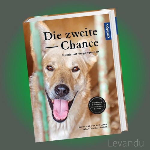 Die zweite chance hunde - hunde, mit
