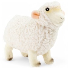 Carl Dick Schaf weiß, Lamm