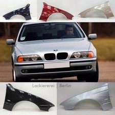 KOTFLÜGEL VORNE LACKIERT IN